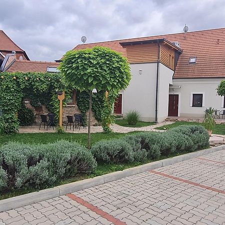 Kossuth Apartmanhaz Тата Екстериор снимка